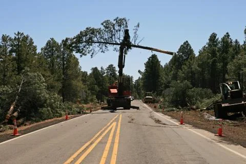 Knuckleboom loader moves tree Stock Photos