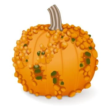 Knucklehead Pumpkins. Winter squash. Illustrazione stock