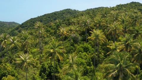 Ko Ma with Mae Haad Beach, Koh Phangan, Thailand Stock Footage 105020143