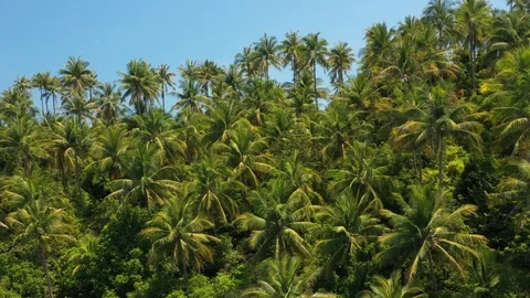 Ko Ma with Mae Haad Beach, Koh Phangan, Thailand Stock Footage 105021248