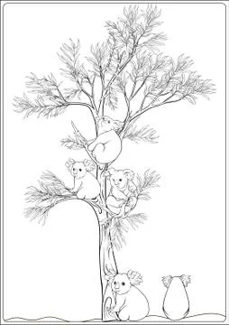 Koala and eucalyptus. Coloring page for the adult coloring book Stock Illustration