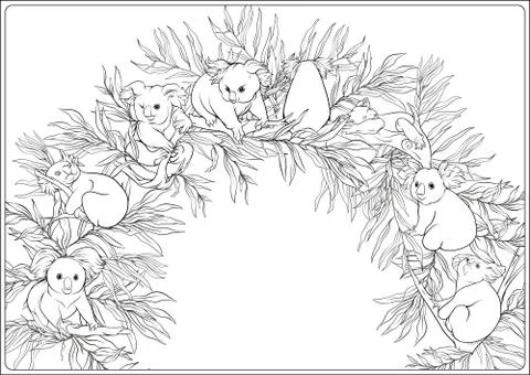 Koala and eucalyptus. Coloring page for the adult coloring book Stock Illustration