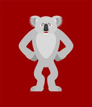 Koala angry. koala bear evil. Beast aggressive. Vector illustration Illustrazione stock