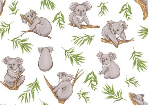 Koala bear seamless pattern. Illustrazione stock
