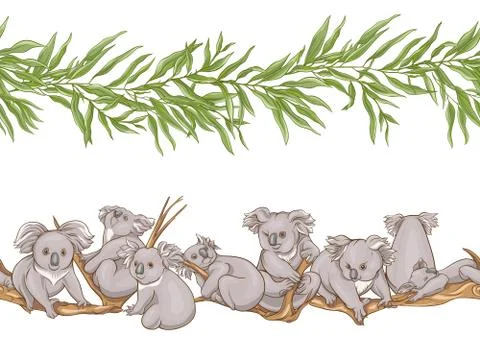 Koala bear seamless pattern. Illustrazione stock