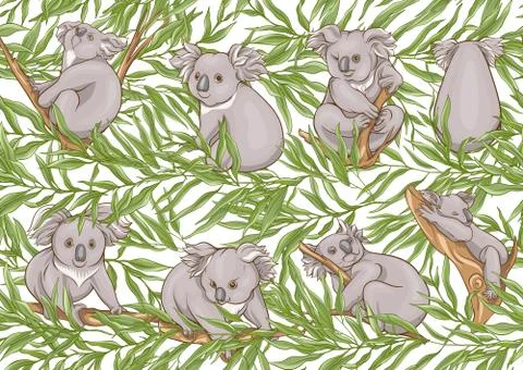 Koala bear seamless pattern. Stock Illustration