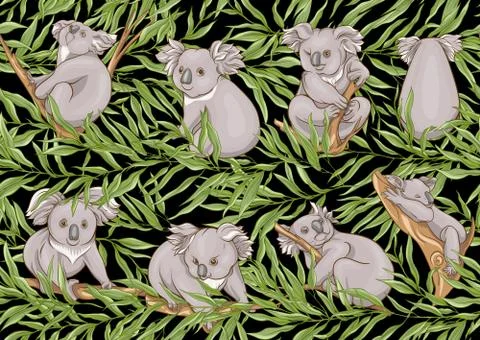 Koala bear seamless pattern. Stock Illustration