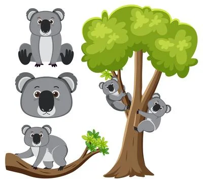 Koala Branch and Tree Vector Cartoon Illustration Stock Illustration