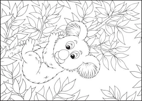 Koala Stock Illustration