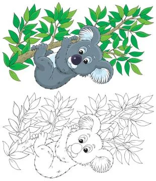 Koala Stock Illustration