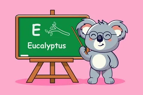 Koala Teacher with Eucalyptus Lesson On Chalkboard  Vector Illustration Stock-Illustration