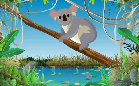 Koala on tree branch in the jungle Stock Illustration