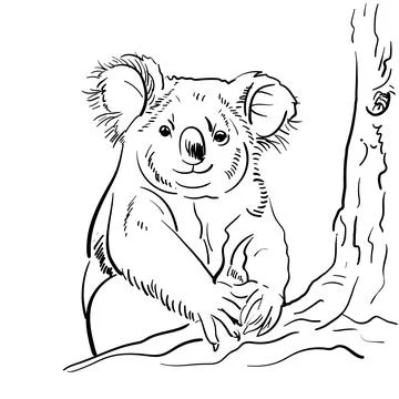 Koala Vector doodle image of silhouette of a on a white background, bear Stock Illustration