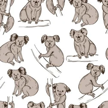 Koala.  Vector pattern. イラスト素材