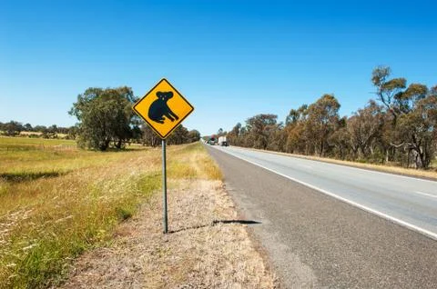 Koala warning Stock Photos