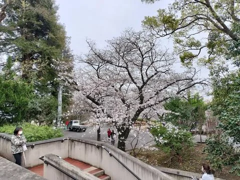 Kobe Zoo Editorial Stock Photos