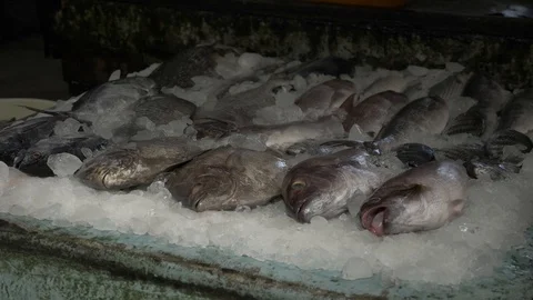 KOCHI, India - fresh fish presented on crushed ice on a pavement stall Stock Footage 85980894