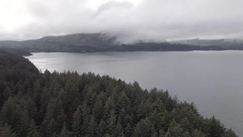 Kodiak - Alaska Vídeos de archivo 292319369