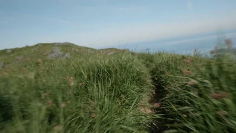 Kodiak-Barometer-Stock-13 Stock Footage 169768351