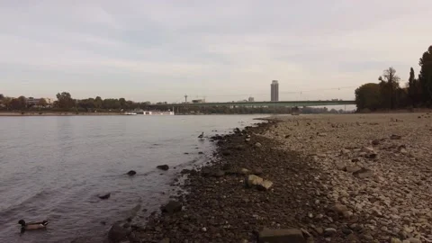 Koeln Rhein 04 库存影片 164114397