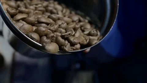Kofee in grain and machine Stock Footage 69122875