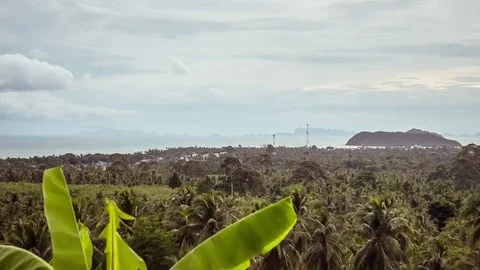 Koh Pha Ngan 4.1 Stock Footage 77853076