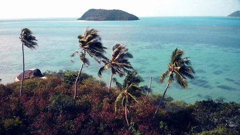 Koh Phangan Island secluded beach Stock Footage