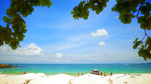 Koh Samet beach Stock Footage 55347345