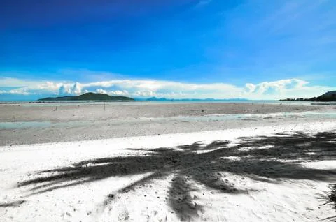 Koh samui with coconut palm on panoramic tropical beach Foto stock