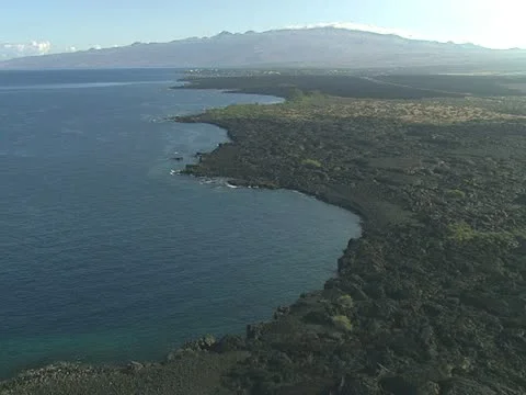Kohala Coastline Stock-Footage 22243329