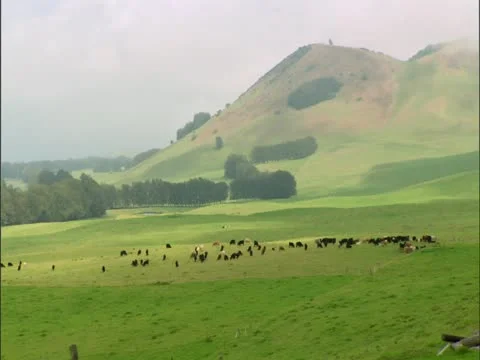Kohala Countryside Stock-Footage 22242668