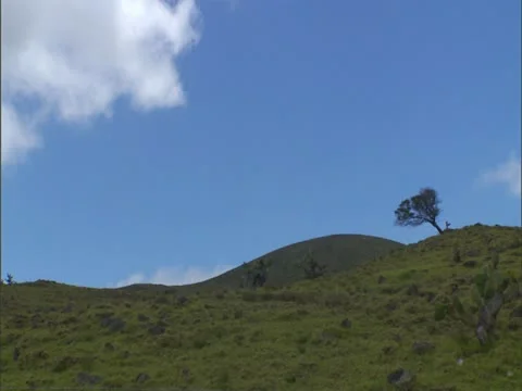 Kohala District Cinder Cone Stock-Footage 22243599