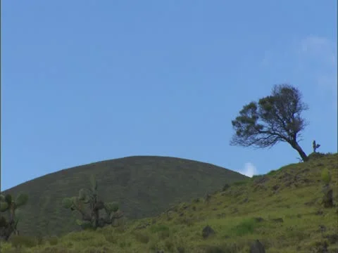 Kohala District Cinder Cone Stock-Footage 22243603