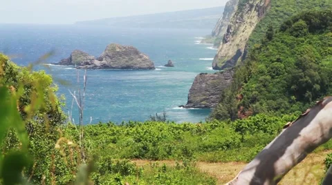 Kohala, Hawaii Stock-Footage 45050485