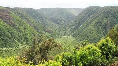 Kohala, Hawaii Video stock 45050575