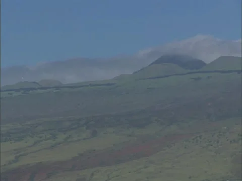Kohala Mountain Stock-Footage 22244733