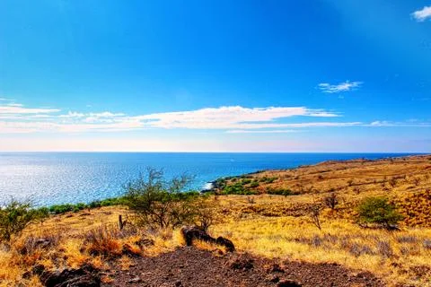 Kohala 库存照片