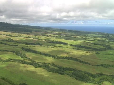Kohala Ranchland Stock-Footage 22243966