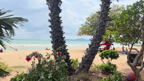 KohLarnislandthroughtrees Stock Footage 305834853