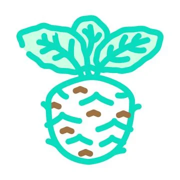 Kohlrabi cabbage color icon vector illustration Ilustración de archivo