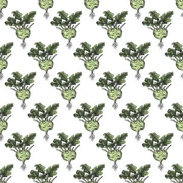 Kohlrabi cabbage hand drawn background seamless pattern. Vintage background Stock Illustration