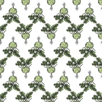 Kohlrabi cabbage hand drawn background seamless pattern. Vintage background Stock Illustration