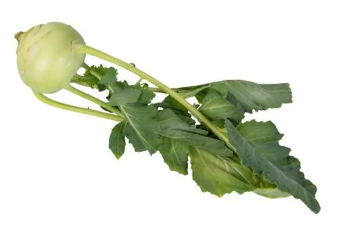 Kohlrabi Stock Photos