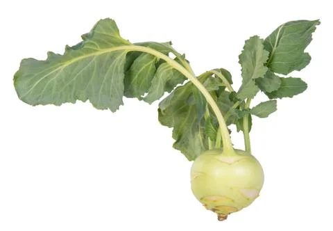 Kohlrabi Foto stock