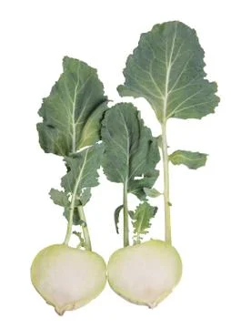 Kohlrabi Stock Photos