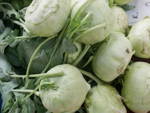Kohlrabi Foto stock