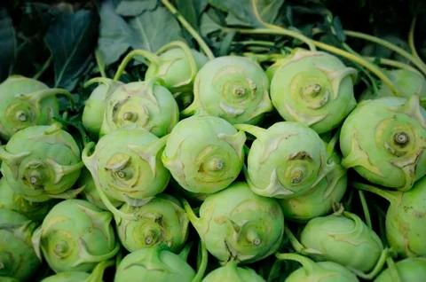 Kohlrabi Stock Photos