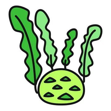 Kohlrabi vegetable flat line art illustration Stock Illustration