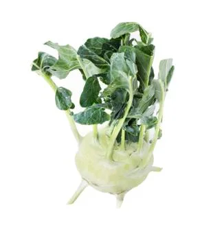 Kohlrabi vegetable. Stock Photos