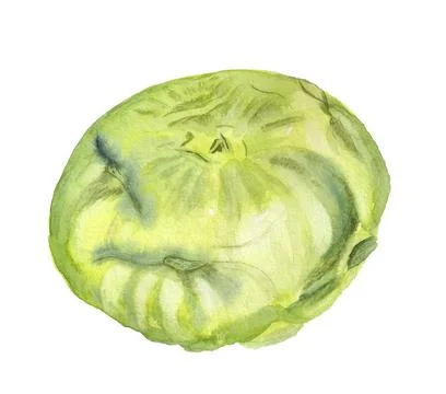 Kohlrabi without leaves Stock Illustration